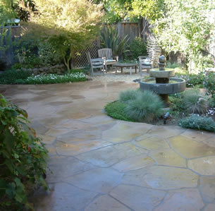 Patio Garden